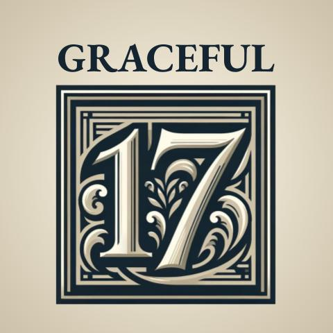 GRACEFUL17 Notebooks